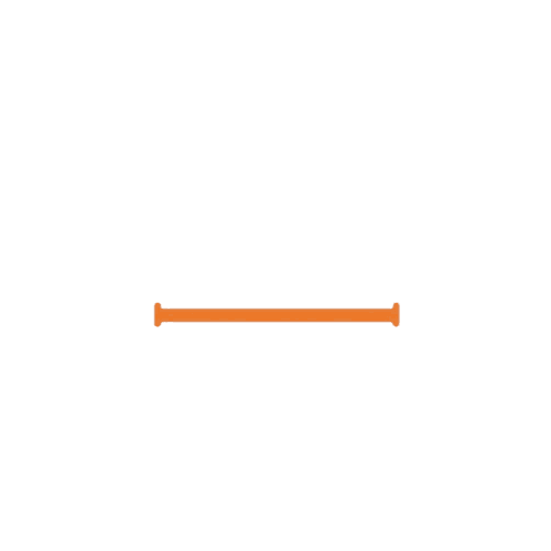Zdrowy Ruch